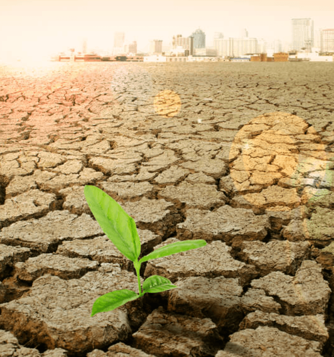 El cambio climático puede ser una oportunidad para empresas