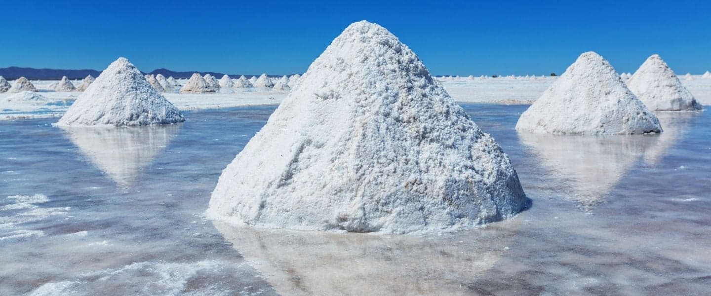 Litio en Argentina: 140.000 empleados y crecimiento del 25% anual