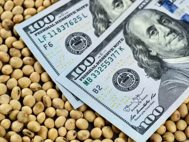 Dólar agro: mejores precios,  pero menos comercialización