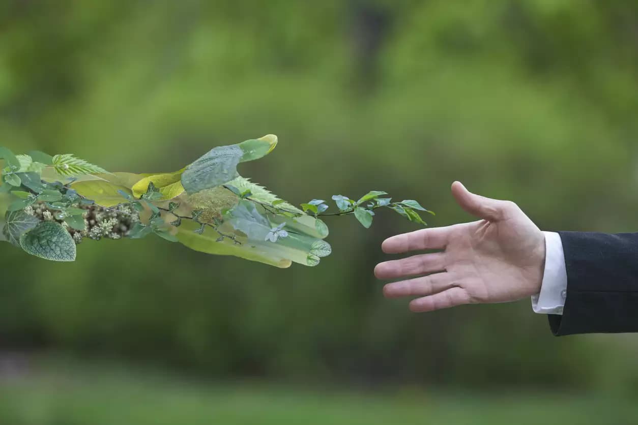 Cómo evoluciona el rol del Director de Sustentabilidad
