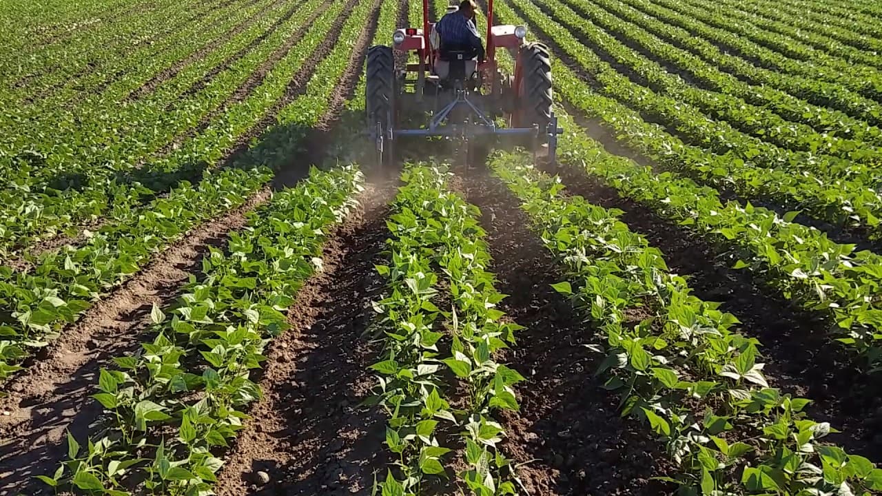 La incertidumbre del campo pasa ahora por la transición