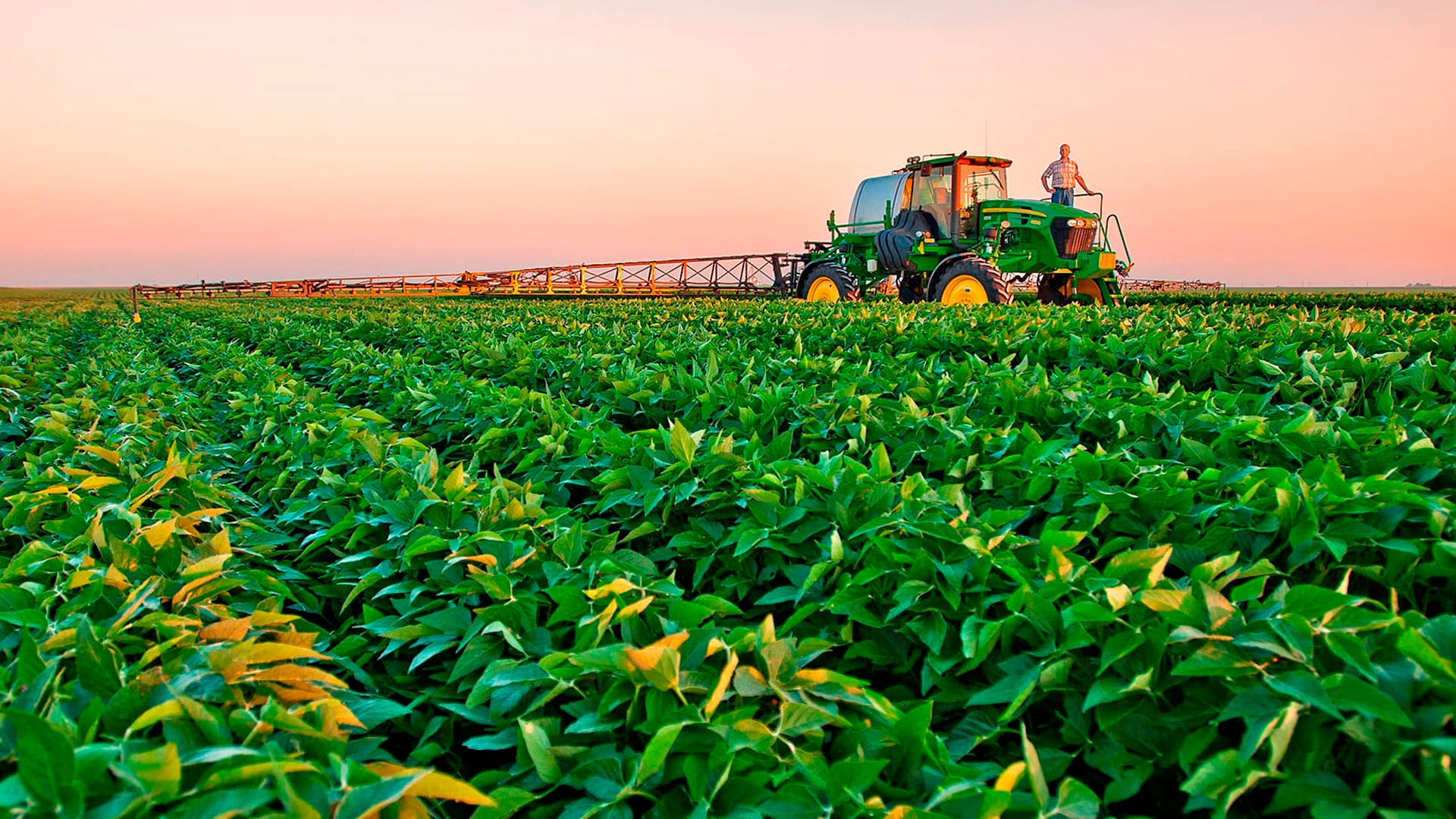El agro: es casi imposible convertir pesos en dólares