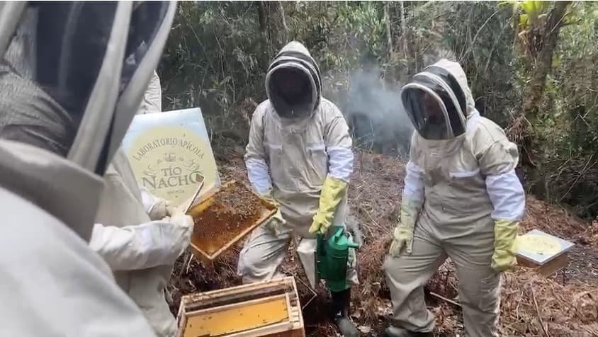 Tío Nacho protege a más de un millón de abejas