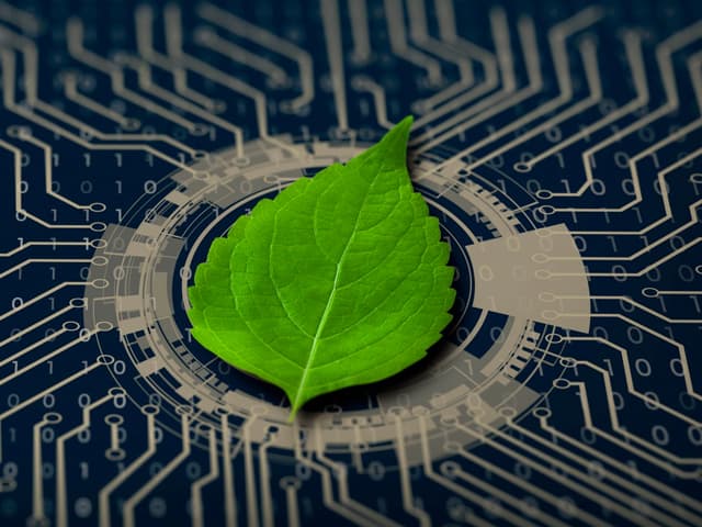 Economía y medio ambiente no deben verse como temas separados