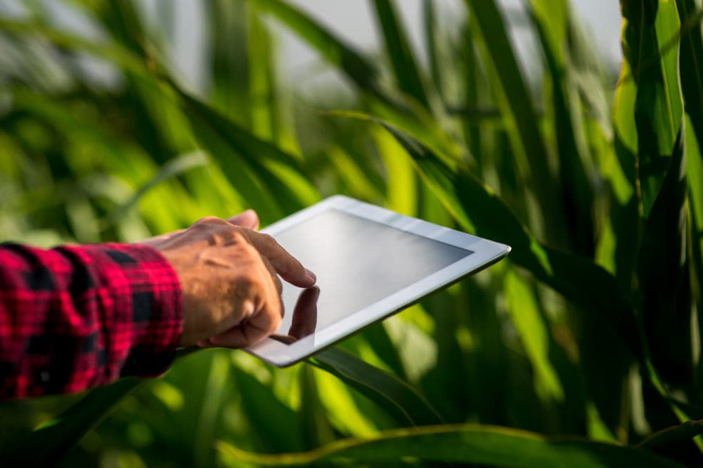 Agricultura 4.0: escalabilidad sustentable en entornos digitalizados