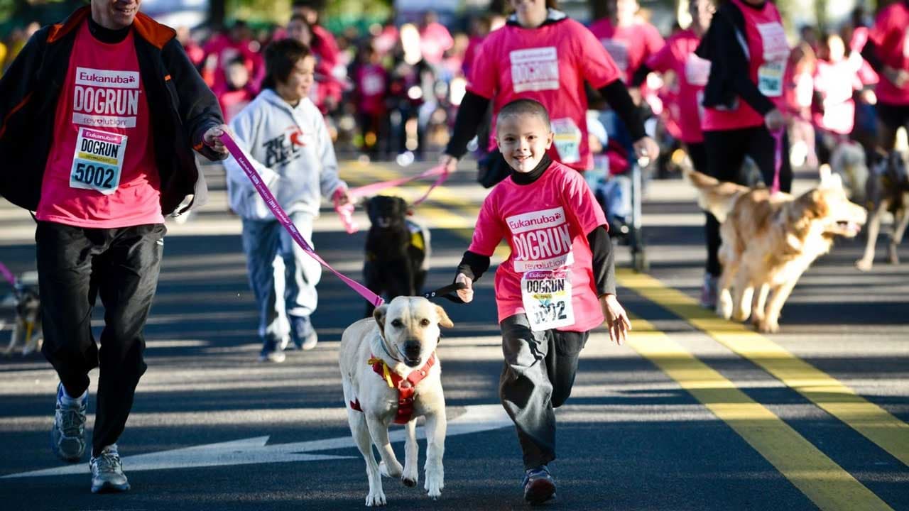 DogRun 2024: Más de 3.000 personas participaron del evento más esperado para compartir con sus perros