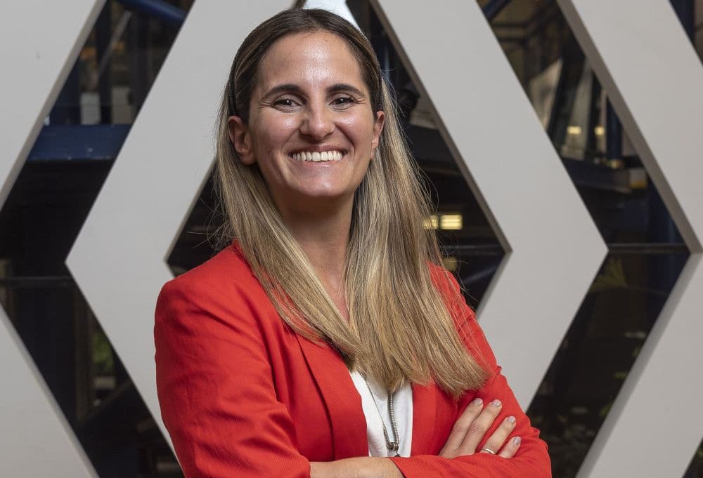 Libro Blanco de la Sustentabilidad: El futuro es la electrificación
