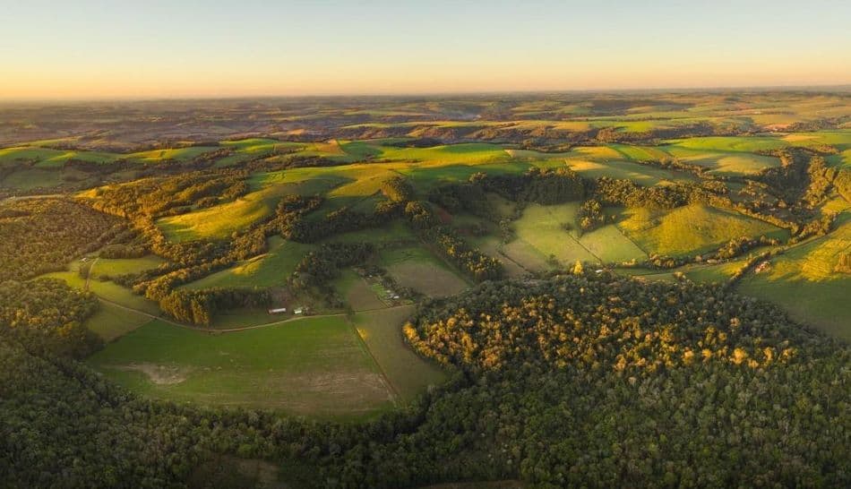 Grupo Galicia cumple su objetivo de ser carbono neutral