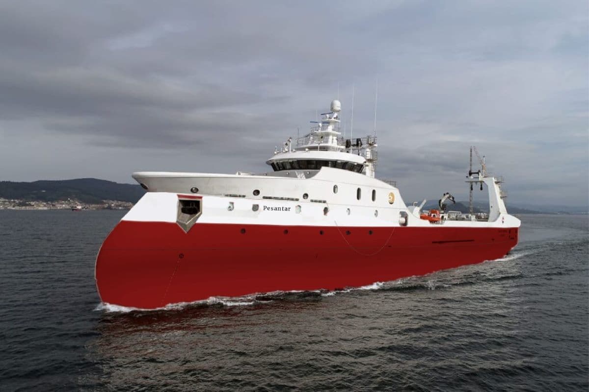 Newsan y Profand encargan la construcción de un barco para la captura de merluza negra