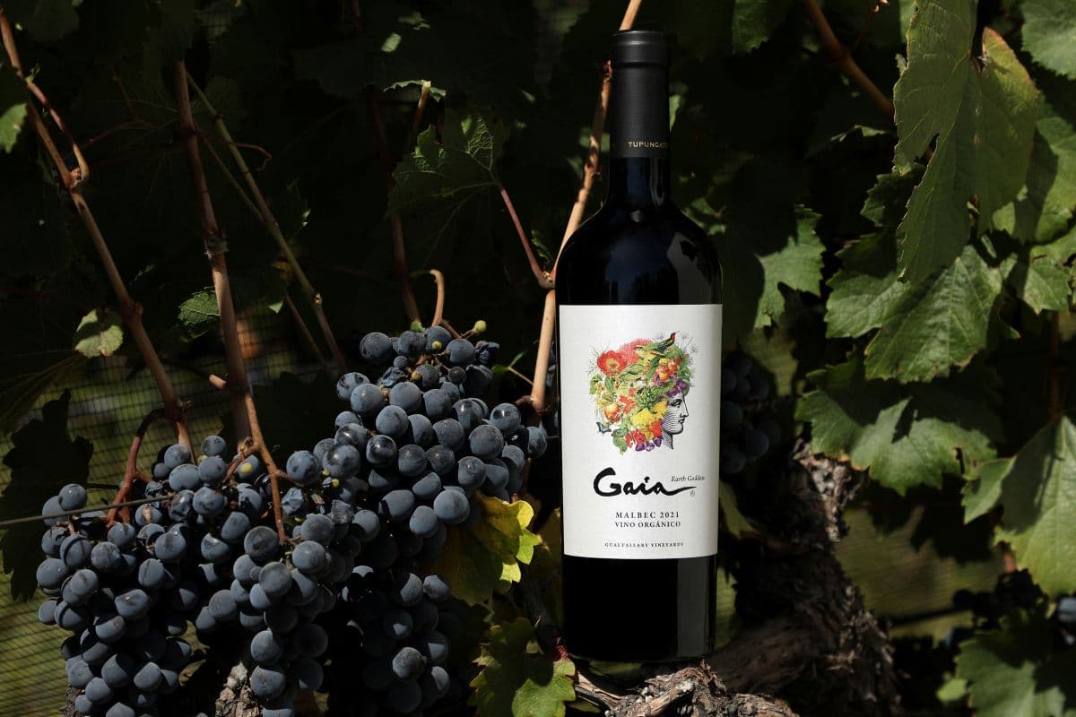 Domaine Bousquet mide su gestión en el cuidado de la tierra