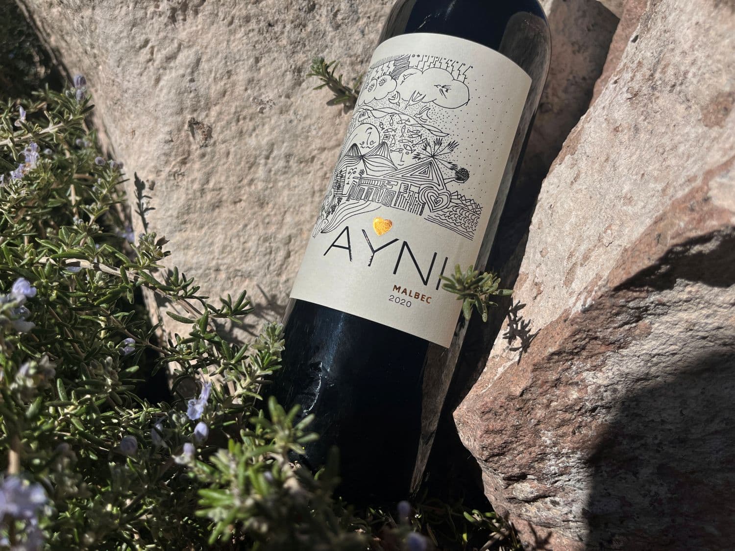 3 de mayo - Día de la Chakana: celebrar la tierra, el vino y el camino