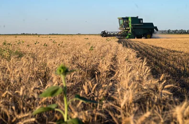 Baja en retenciones impulsa normalización del mercado