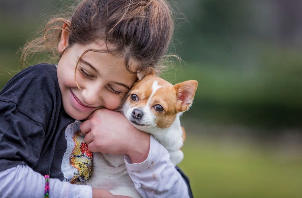 Día Mundial del Perro: la esperanza de vida canina se duplicó