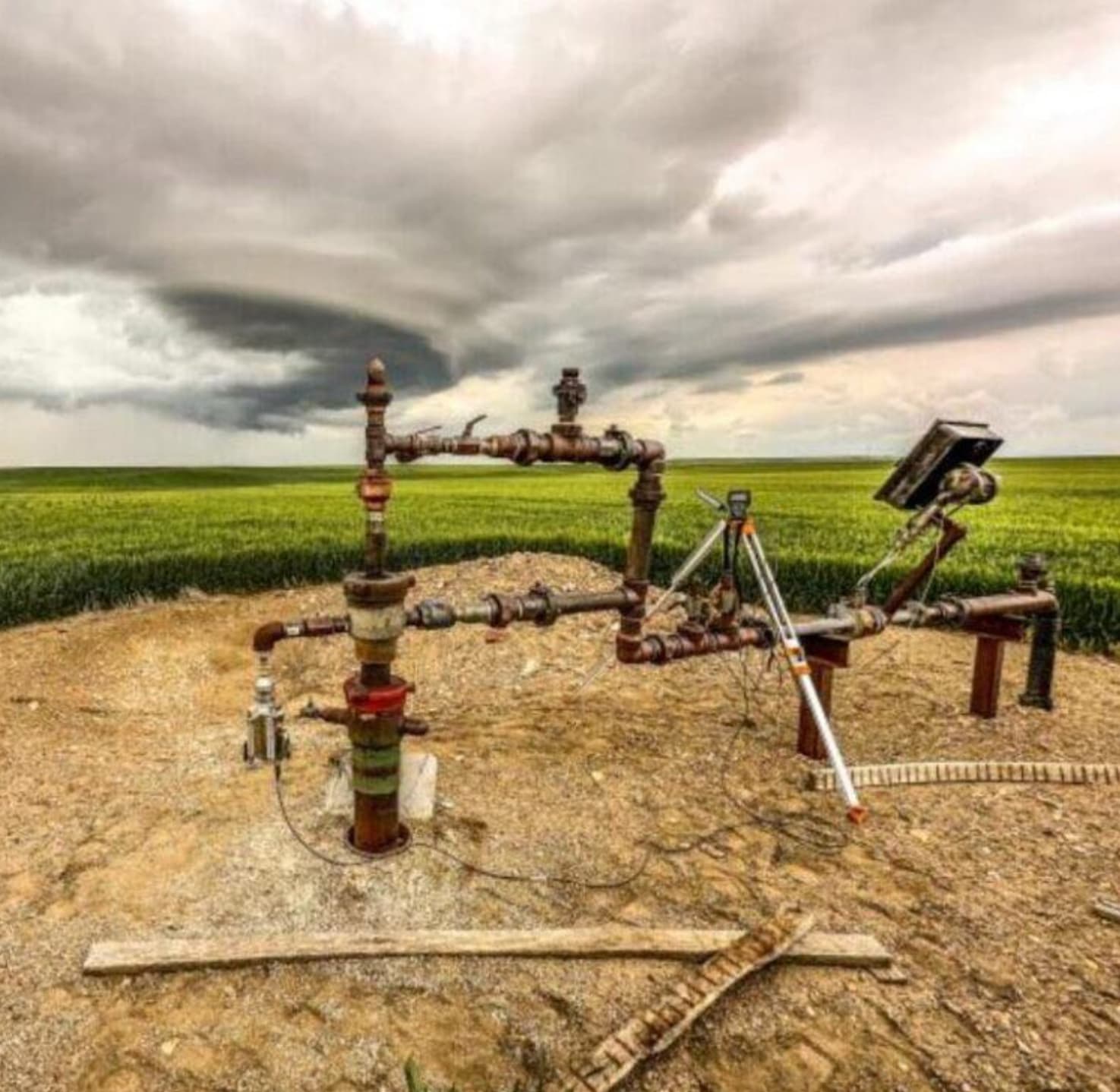 Créditos de carbono para reducir metano: alianza de The Carbon Sink