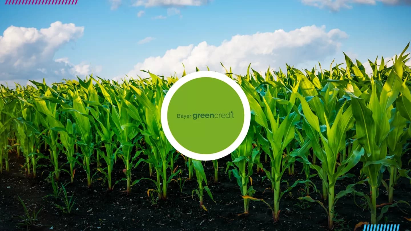 Banco Galicia relanza crédito para prácticas agro sustentables