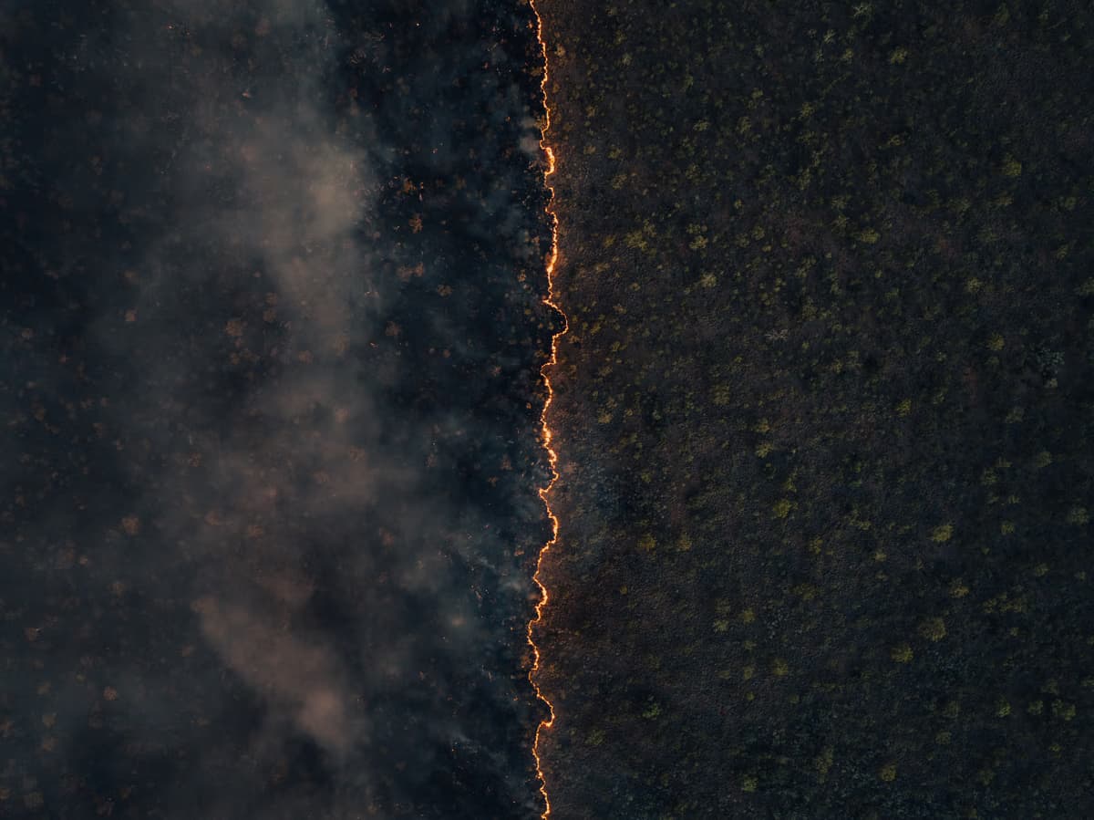 Sostenibilidad: Getty Images alerta sobre desconfianza de consumidores argentinos
