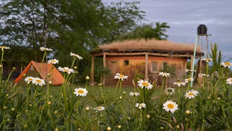 Interés por migrar a ciudades pequeñas crece tras pandemia