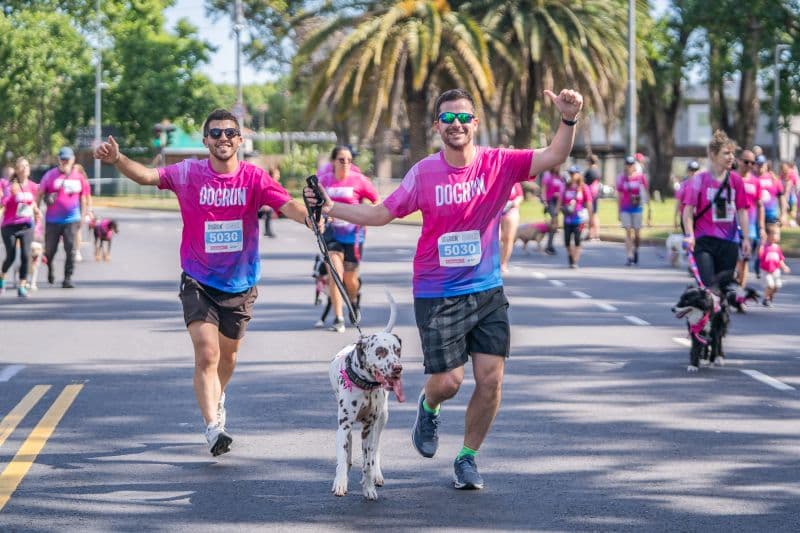 Dogrun 2025: la actividad que invita a las personas a cumplir una meta junto a su perro