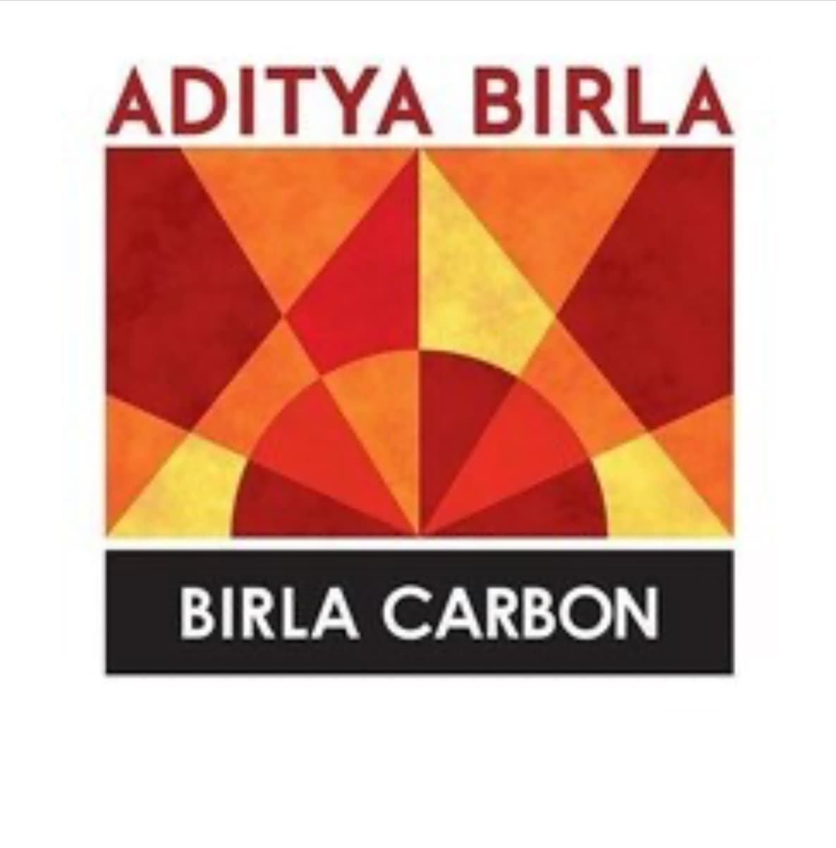 Birla Carbon publica su decimotercer Informe de Sostenibilidad y detalla avances hacia cero neto