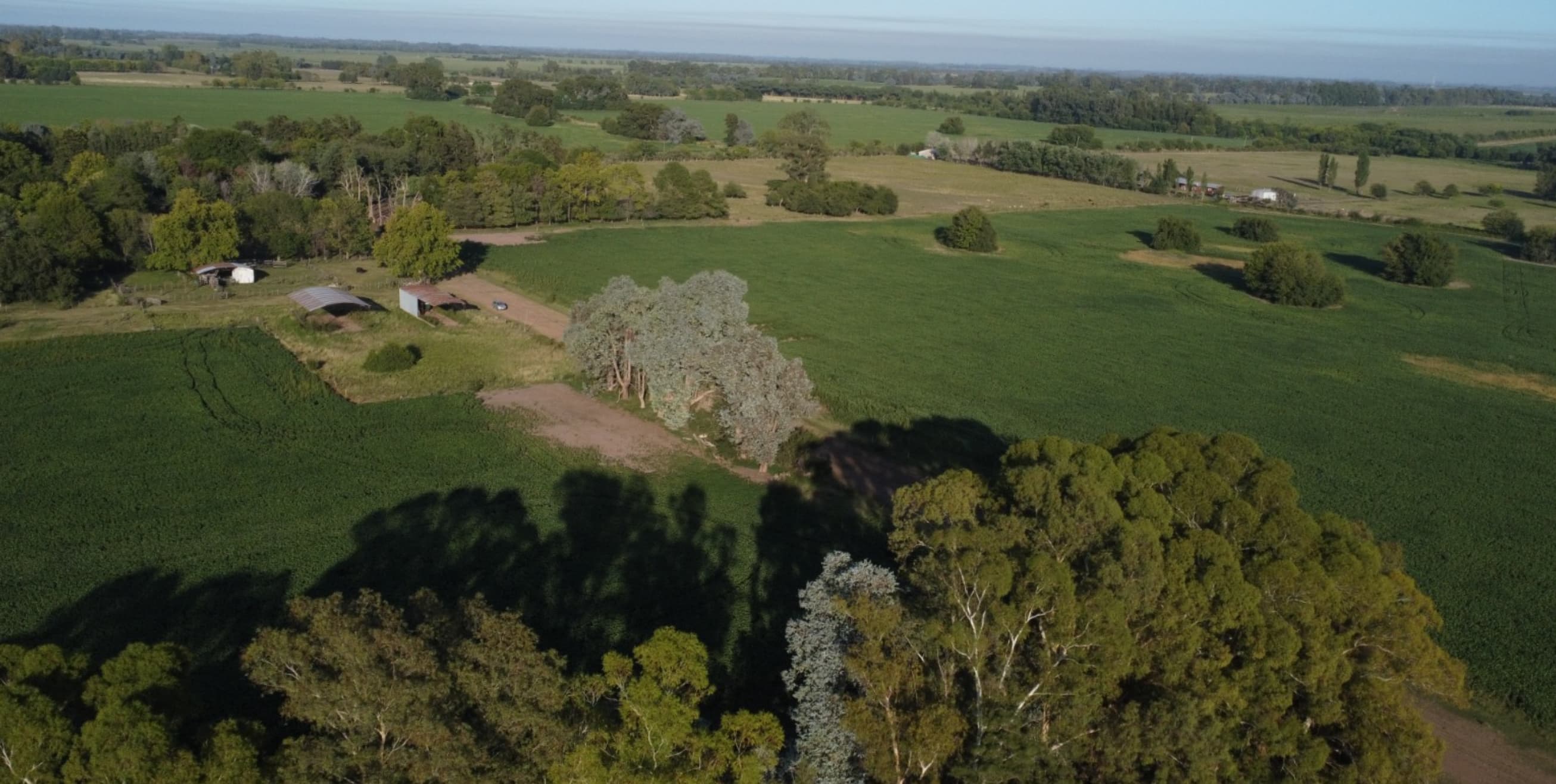 Transformación del mercado inmobiliario en los corredores norte de Buenos Aires más allá del Km 50