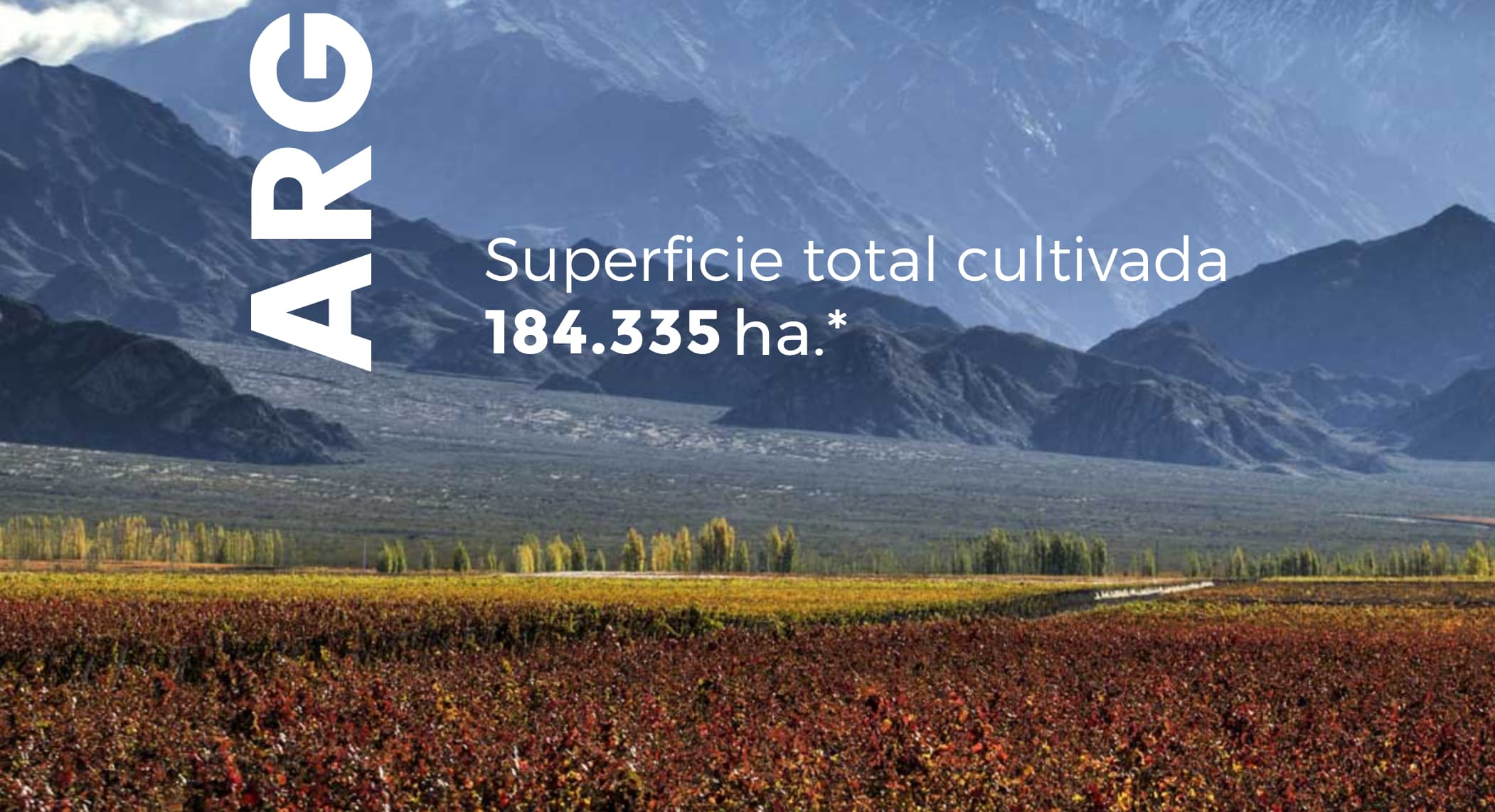 Wines of Argentina impulsa WofA Marketing Lab para fortalecer la comunicación del vino nacional