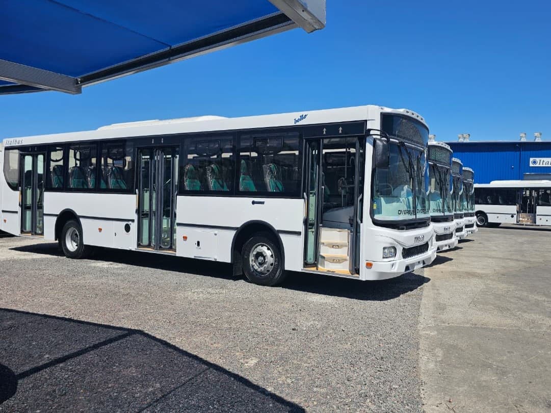Iveco Bus y Overbus entregan 77 vehículos para renovar el transporte público de Paraná