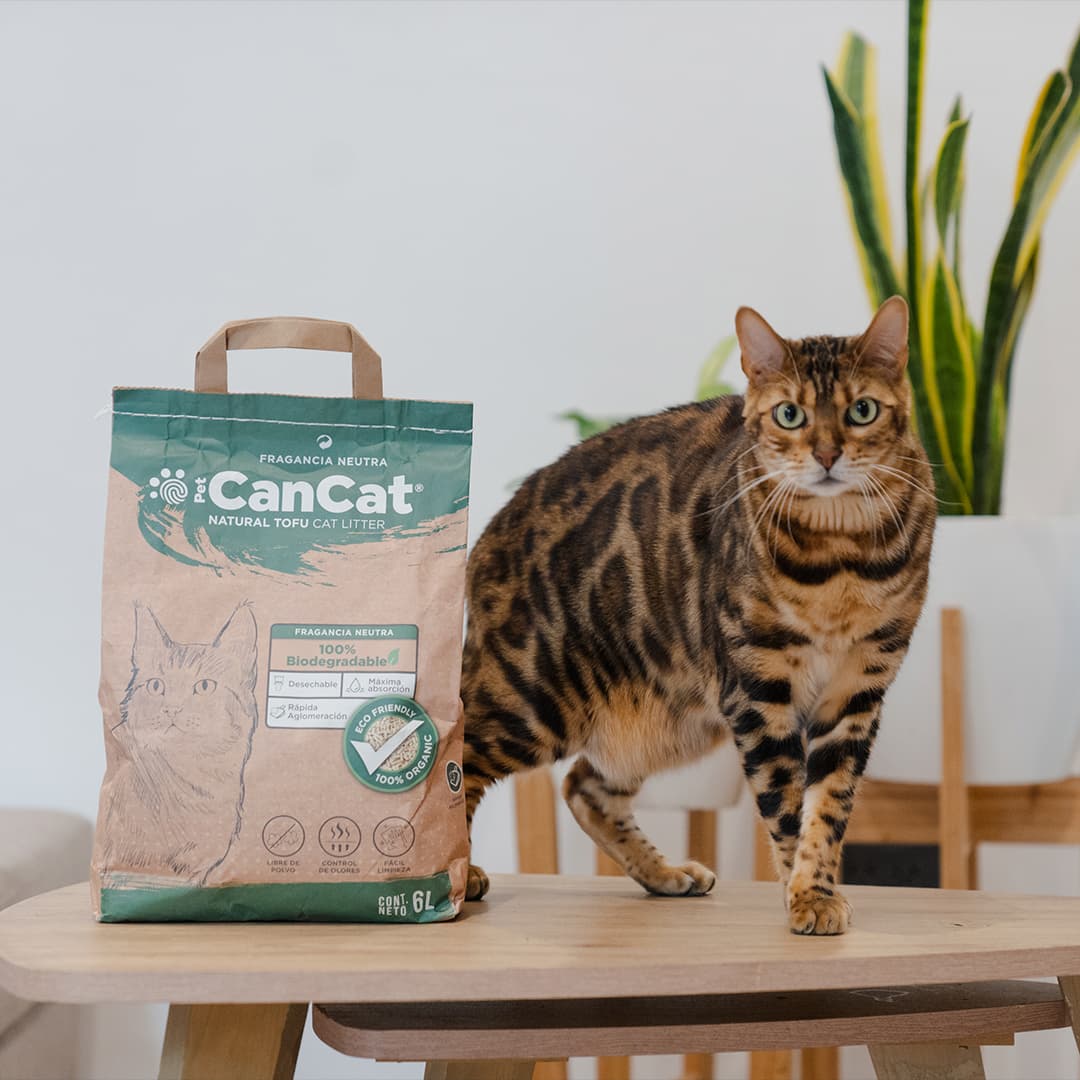 CanCat cumple 15 años y proyecta expansión con nueva línea de alimentos para mascotas