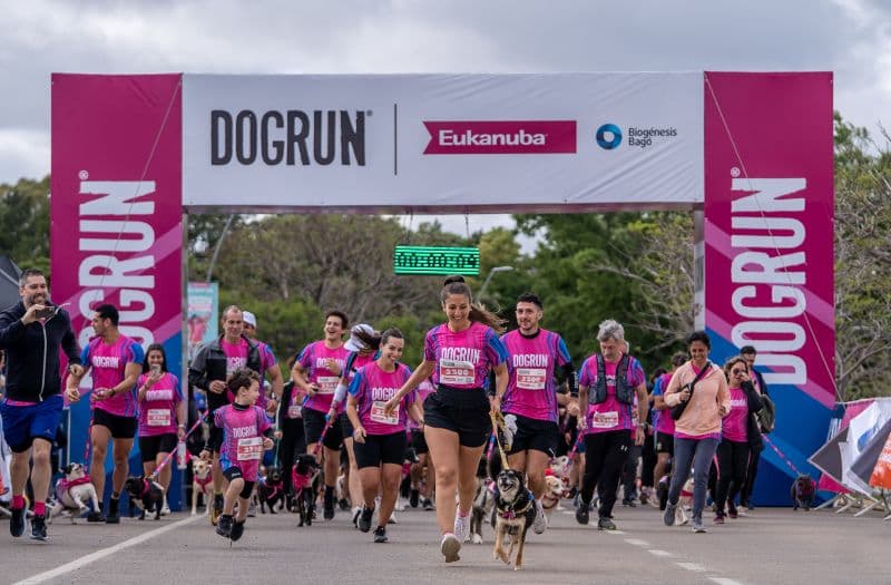 Dogrun 2025: el evento que reunió a perros y sus tutores