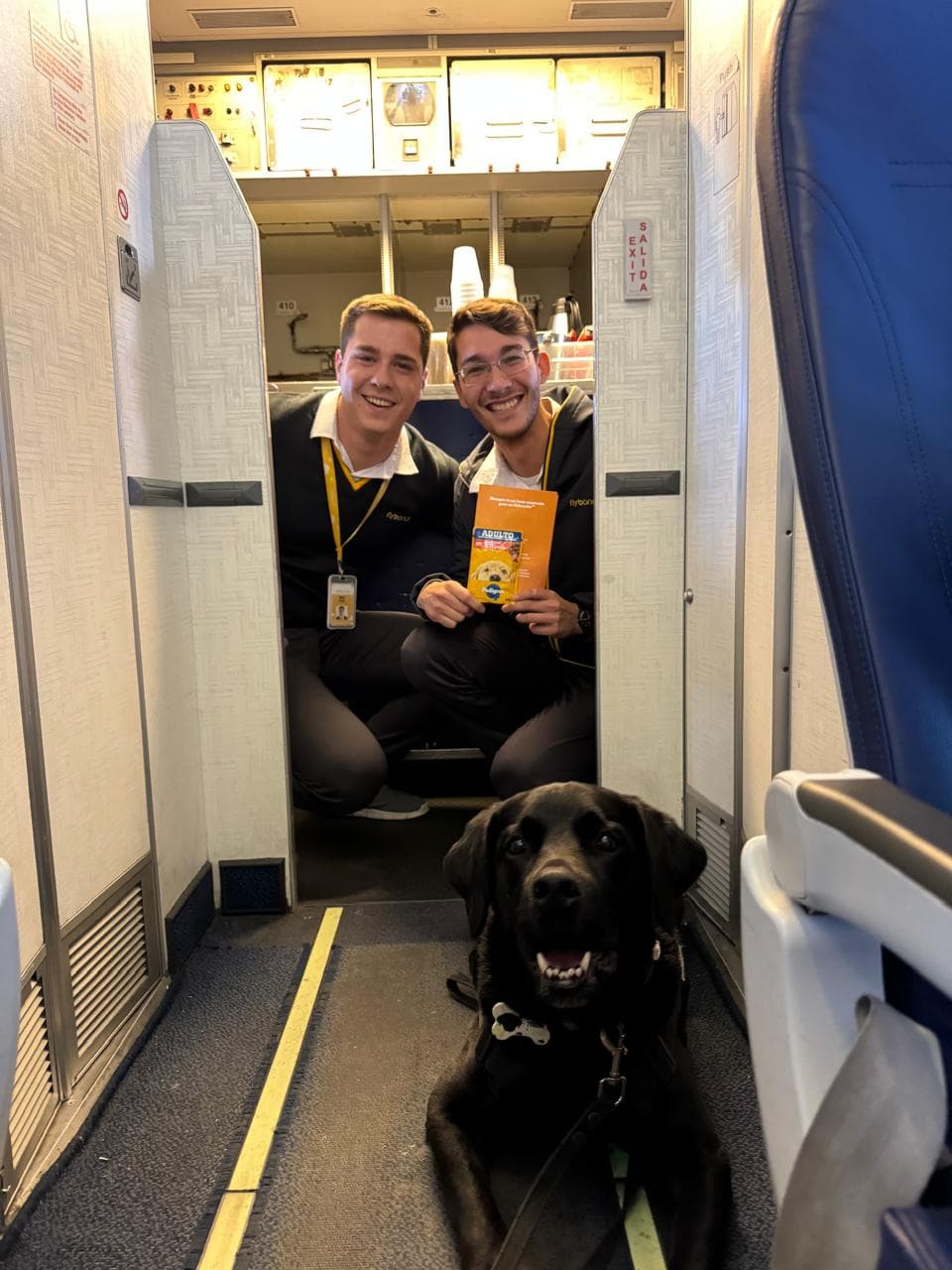 Pedigree presenta alianza con Flybondi y Flecha Bus para alimentación de perros viajeros