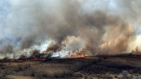 Excesos hídricos y riesgo de incendios generan preocupación en centro y norte argentino