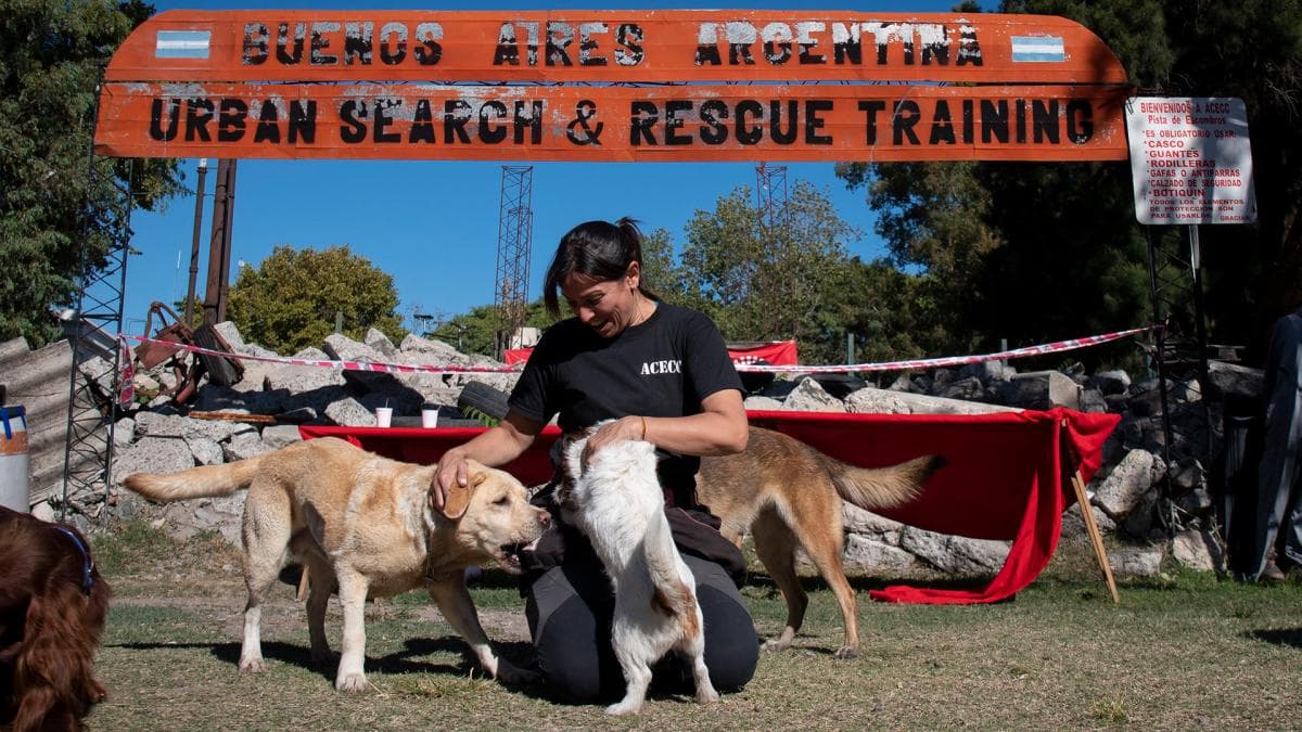 Royal Canin Foundation cumple cinco años apoyando proyectos con animales en la salud humana