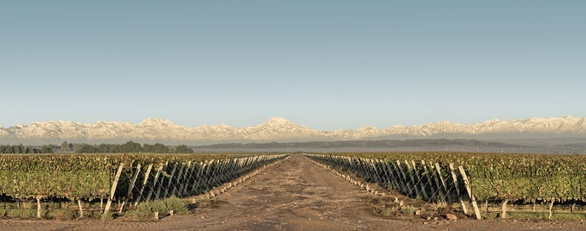 Doña Paula se posiciona entre las 15 mejores bodegas del mundo en el World’s 50 Best Wineries 2025