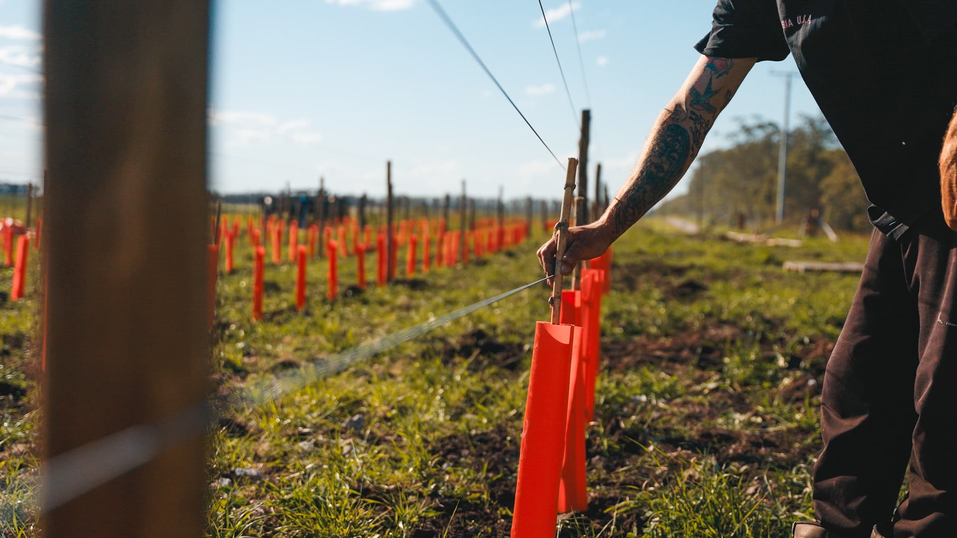 Pueblochapa y Universo Paralelo Wines avanzan con viñedos en Chapadmalal y se suman a la ruta de los vinos de mar