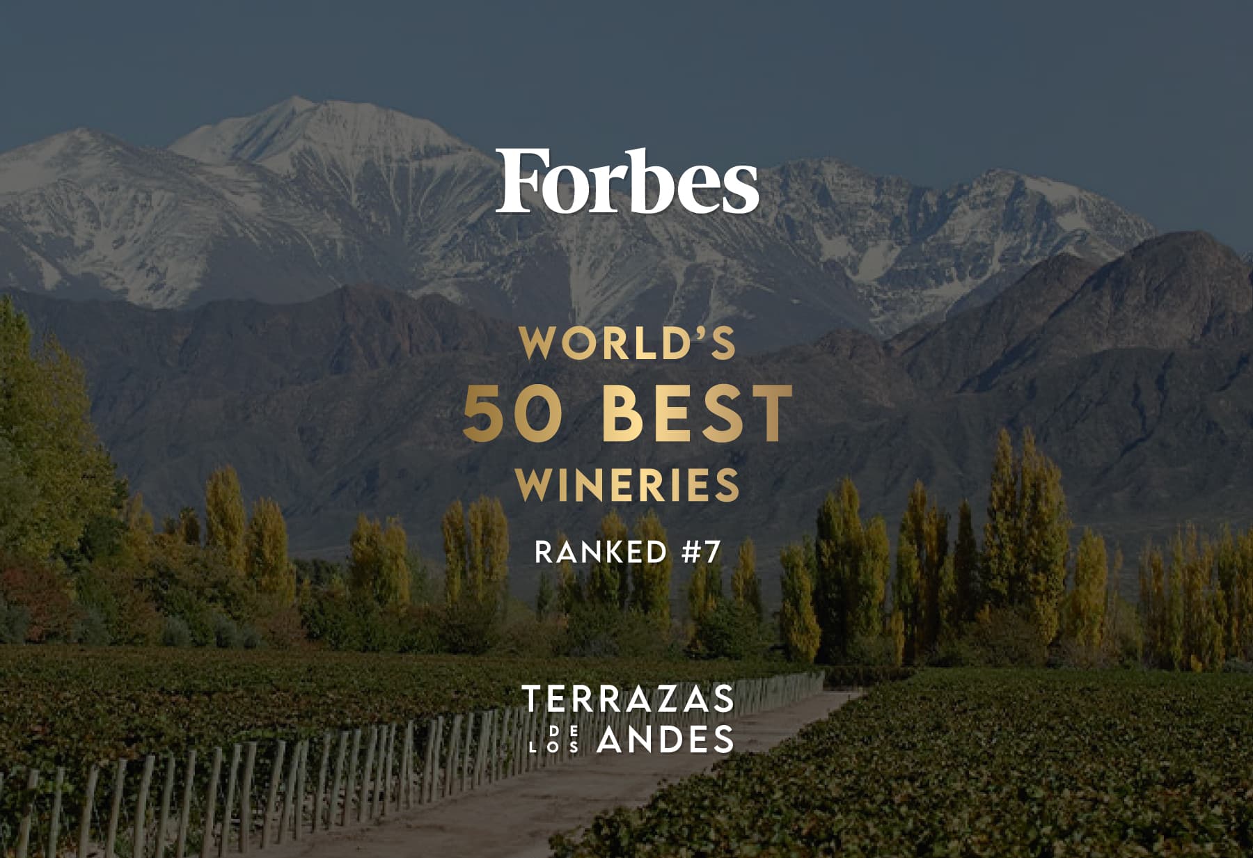 Terrazas de los Andes alcanza el puesto siete en el ranking de Forbes de bodegas mundiales