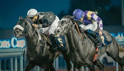 La 33ª Copa Presidente de Emiratos Árabes Unidos para caballos árabes se disputará en Abu Dhabi