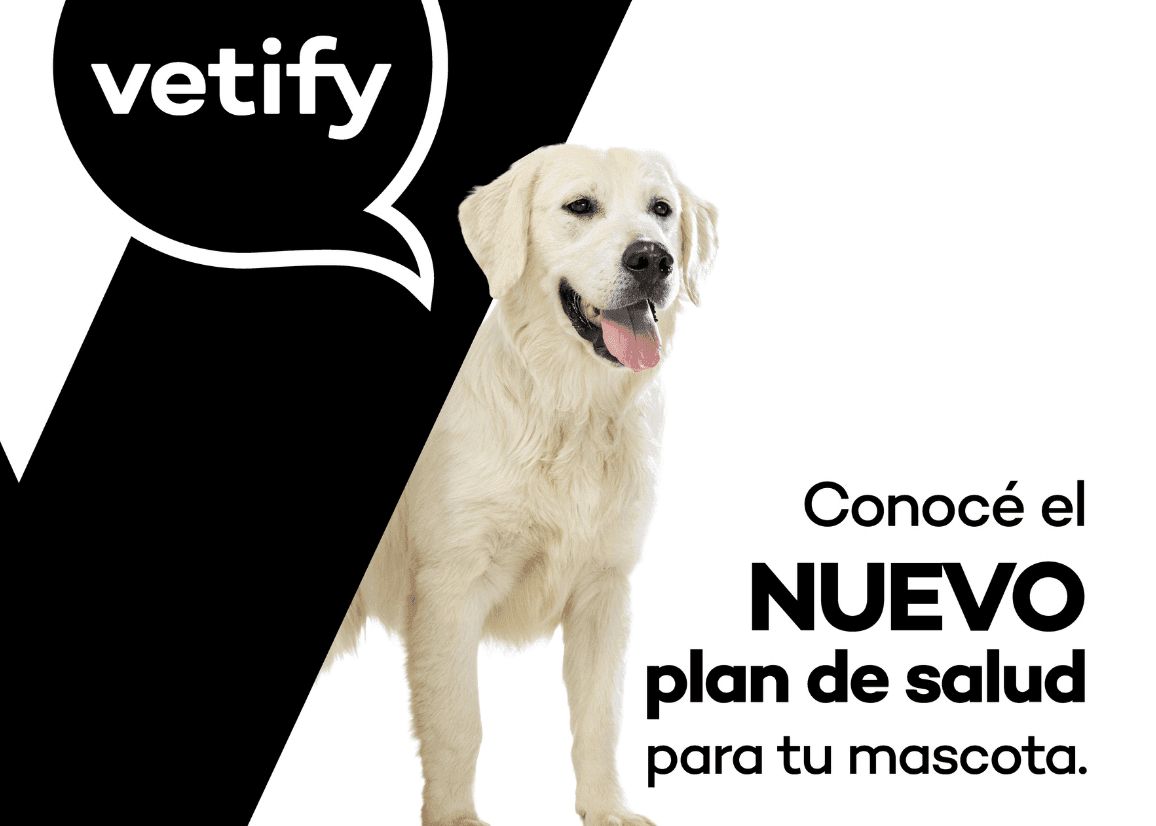 El avance de las mascotas en los hogares modifica la economía familiar argentina y la previsión veterinaria