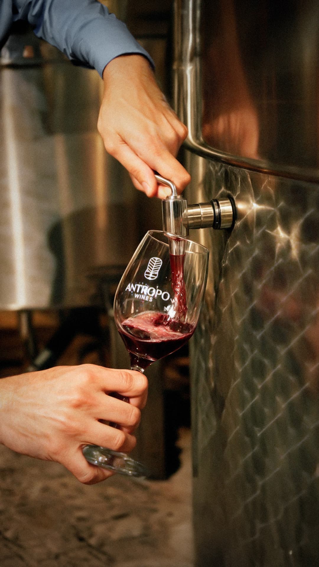 Antropo Bodega presenta el primer espumante jujeño en el Hotel Altos de la Viña