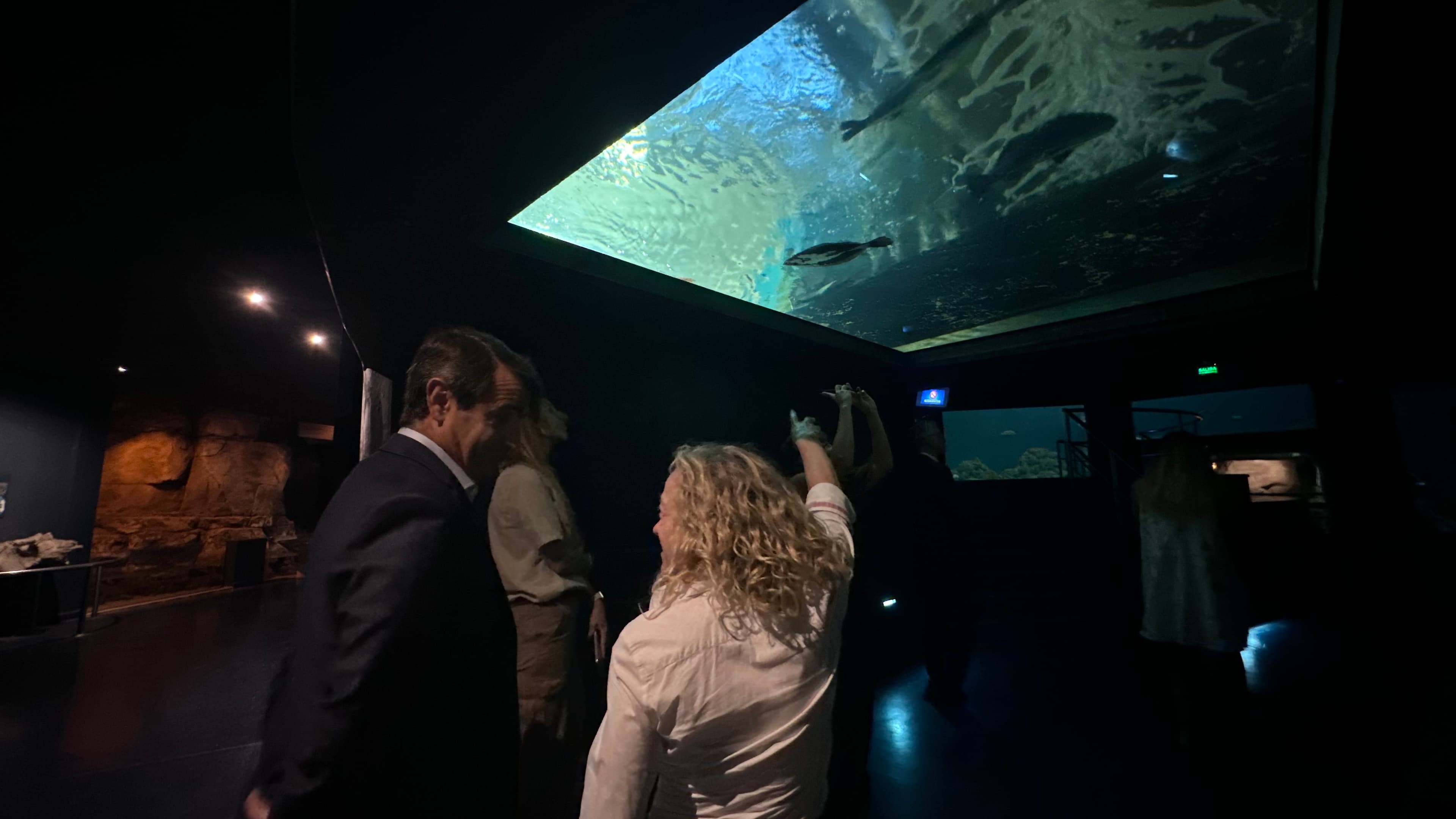 Fundación Temaikèn abastece el 80% de su bioparque en Escobar con energía renovable de YPF Luz