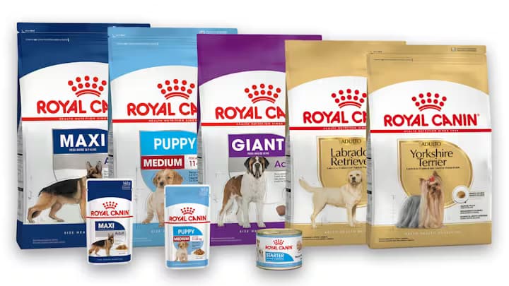 Recomendaciones de Royal Canin para el bienestar de perros y gatos ante el calor del verano