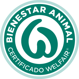 Welfair inicia certificación de bienestar animal en la industria ganadera argentina