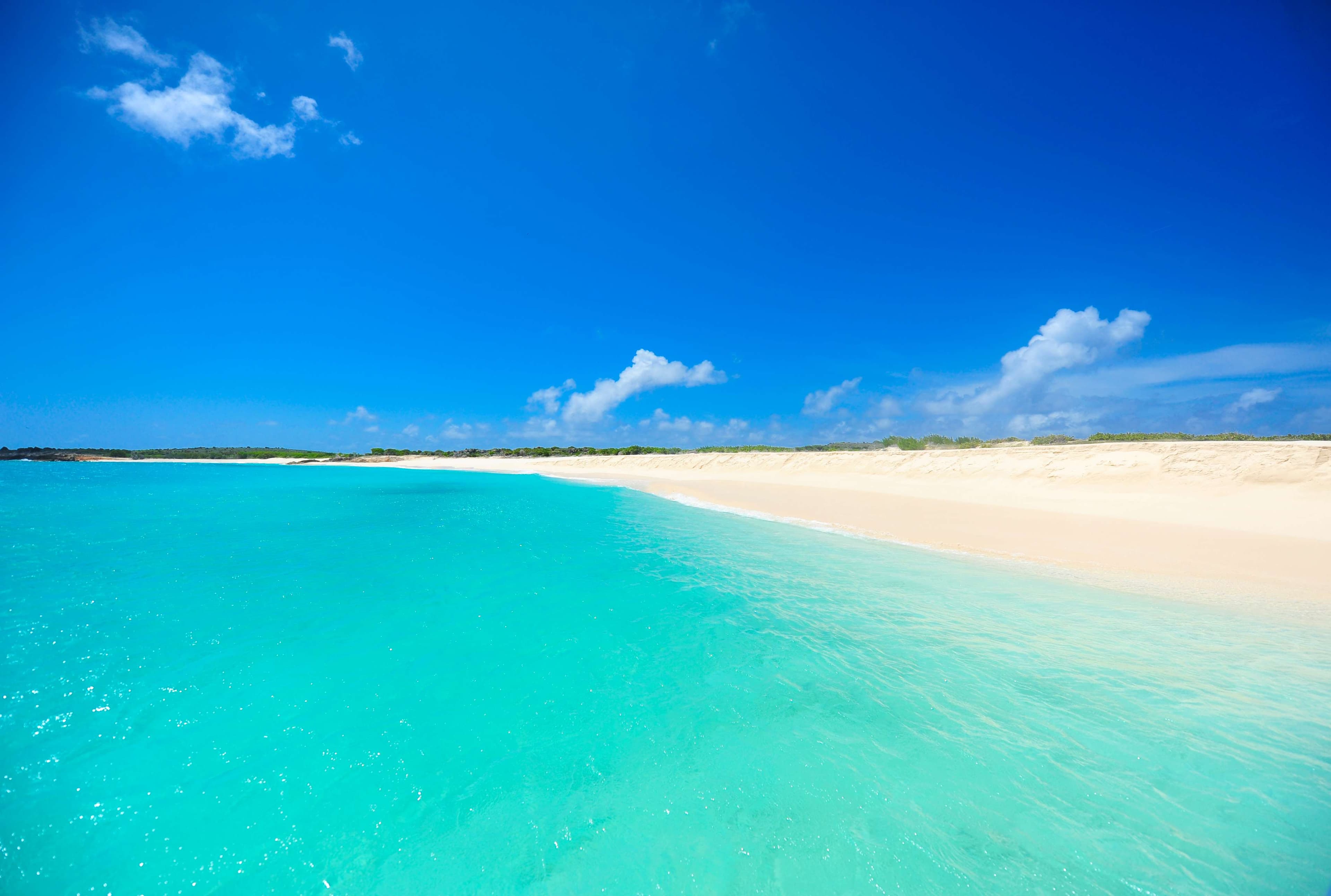 Cyans SEZC lanza Platinum.ai en la Zona Económica Especial de Anguilla para innovación digital