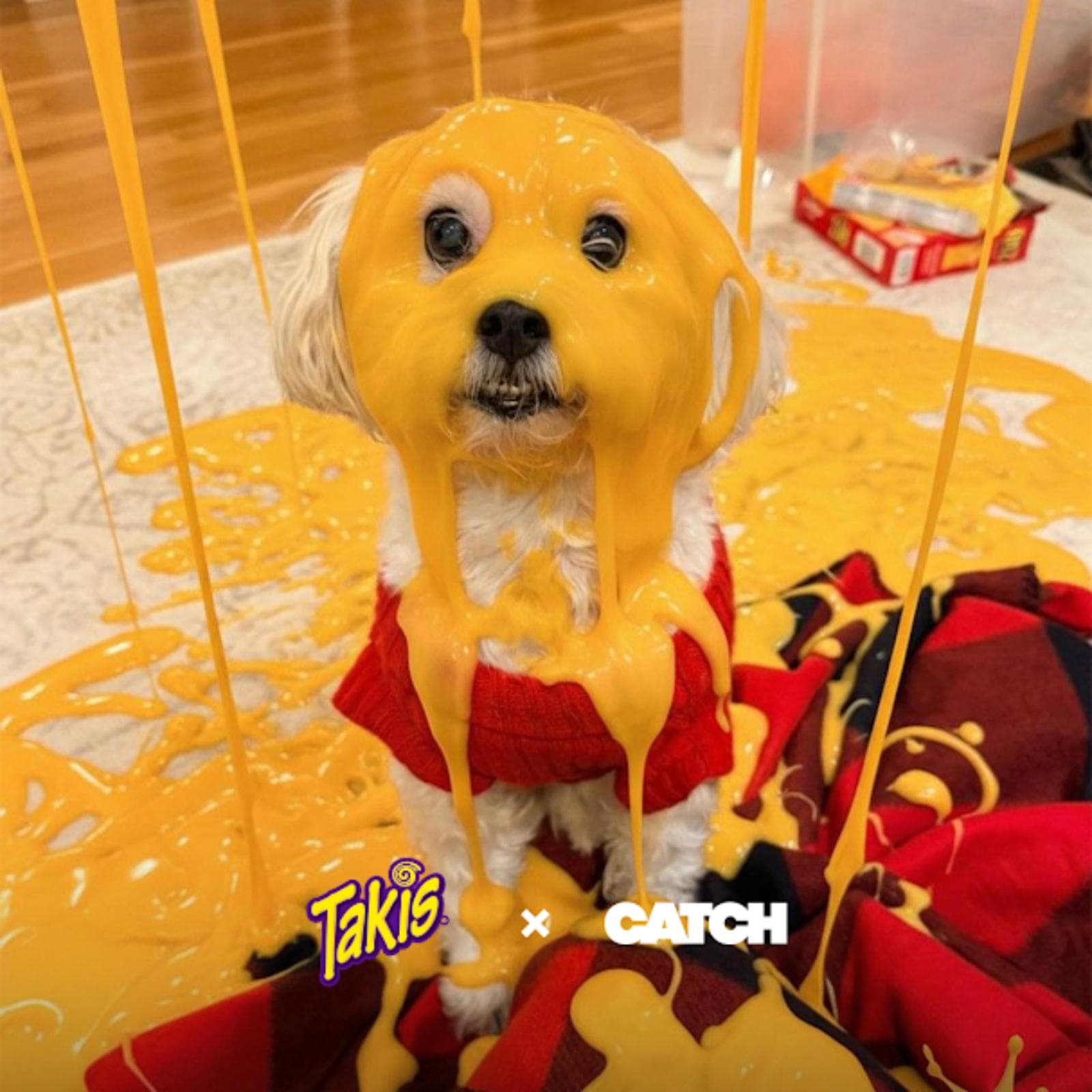 Catch presenta Takito, el chatbot de IA que transforma fotos en una explosión de queso