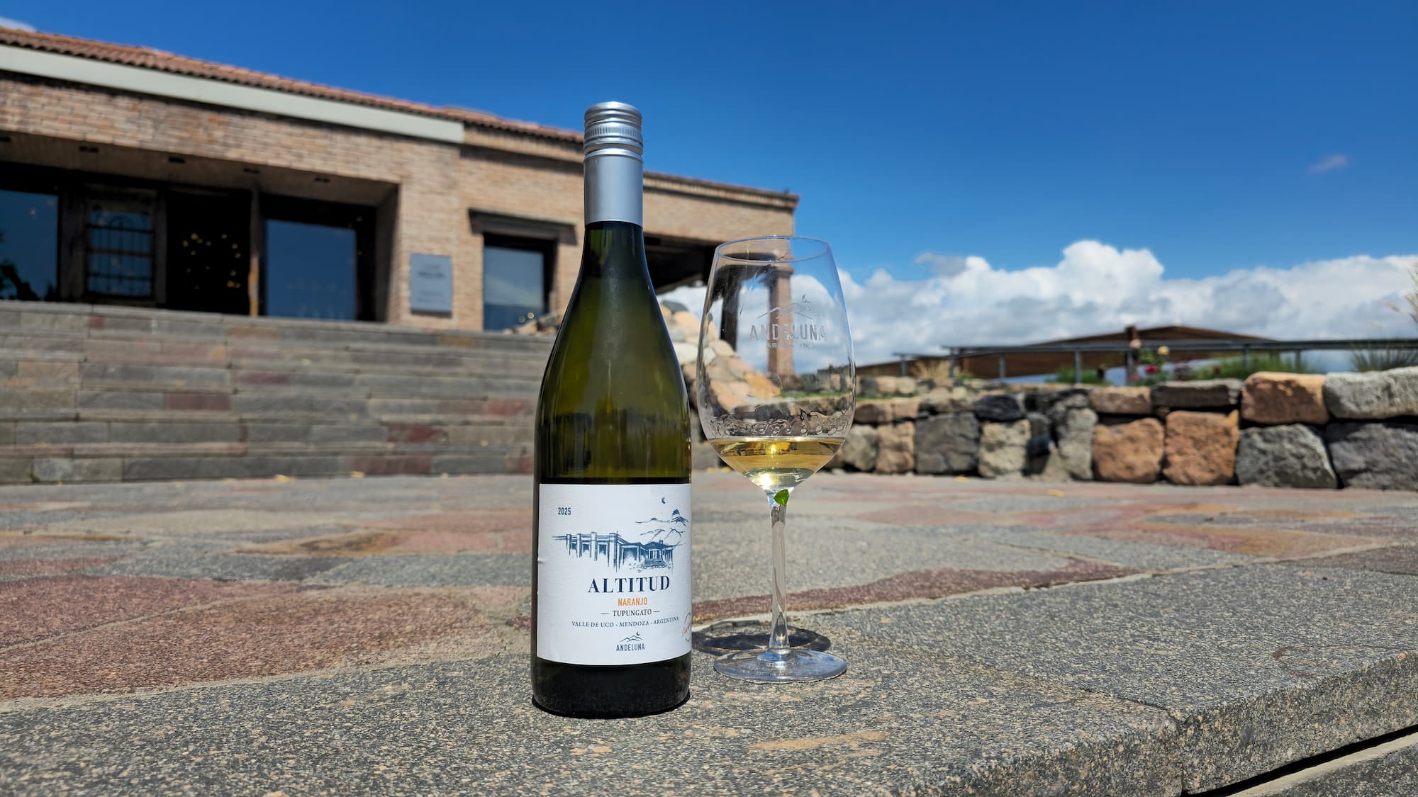 Altitud Naranjo: Una nueva dimensión del chardonnay de montaña