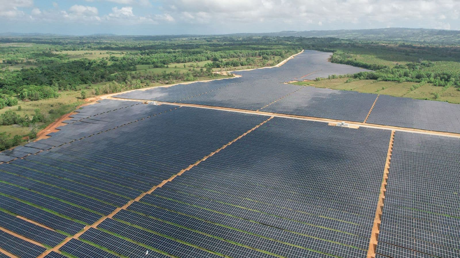 Juan Domínguez, CEO de Tecnored, pone el foco en parques solares operativos