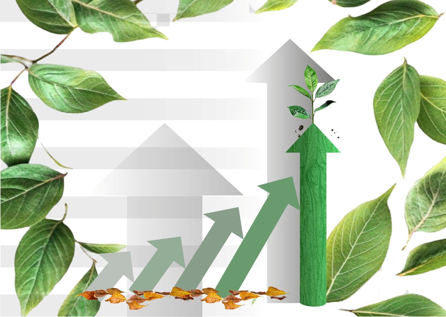 El libro blanco de la sustentabilidad: Sin lugar para los débiles