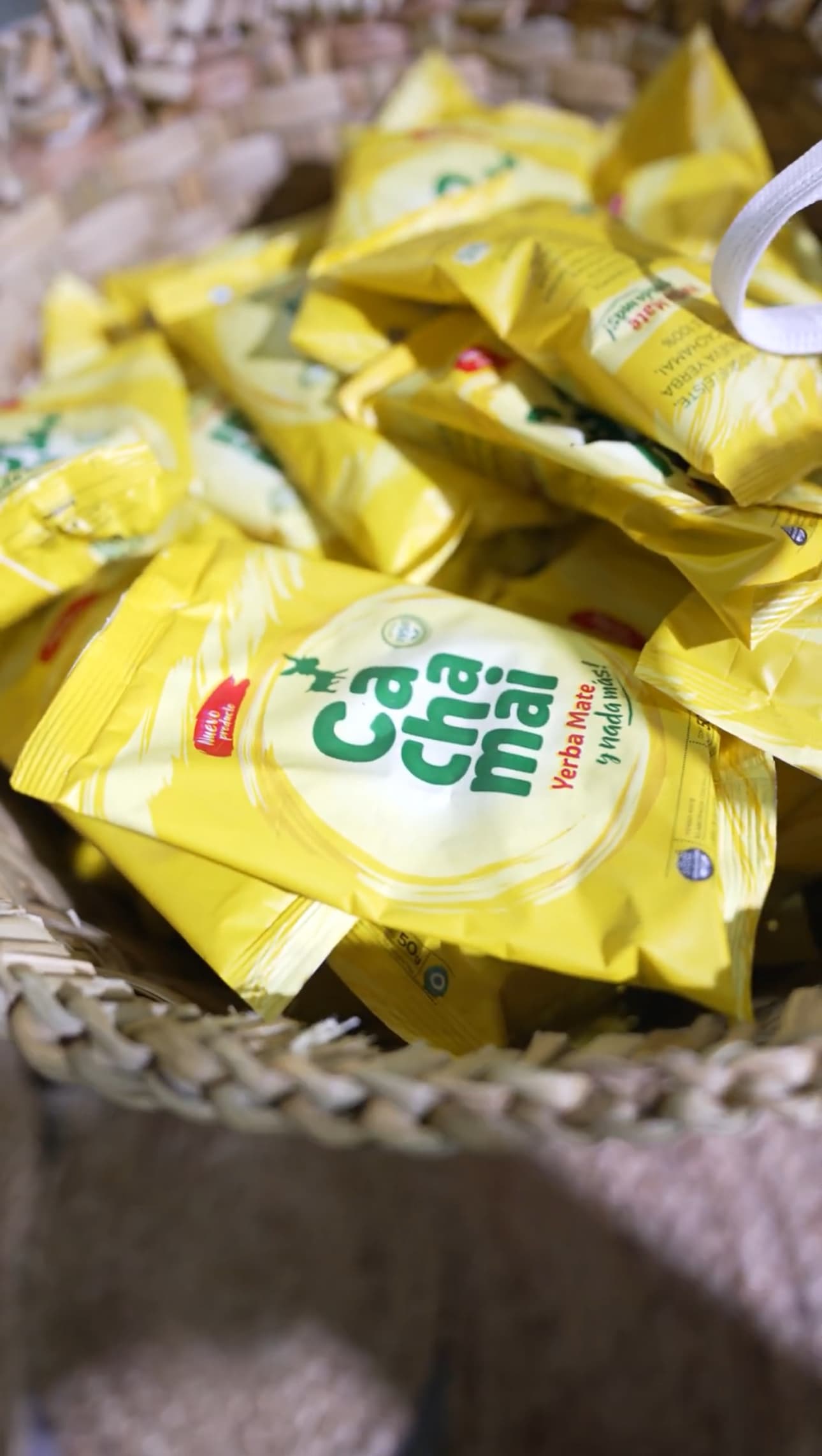 Cachamai despliega activaciones itinerantes en playas y paseos de Mar del Plata