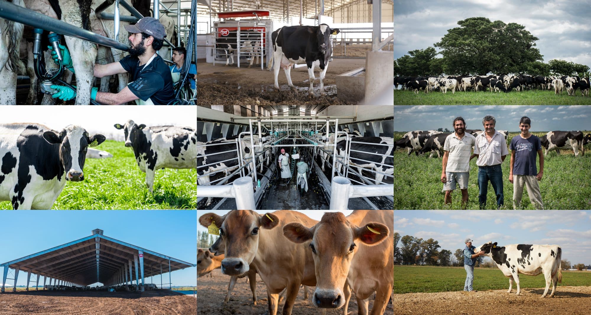 Mastellone Hnos. conmemora el Día del Tambero