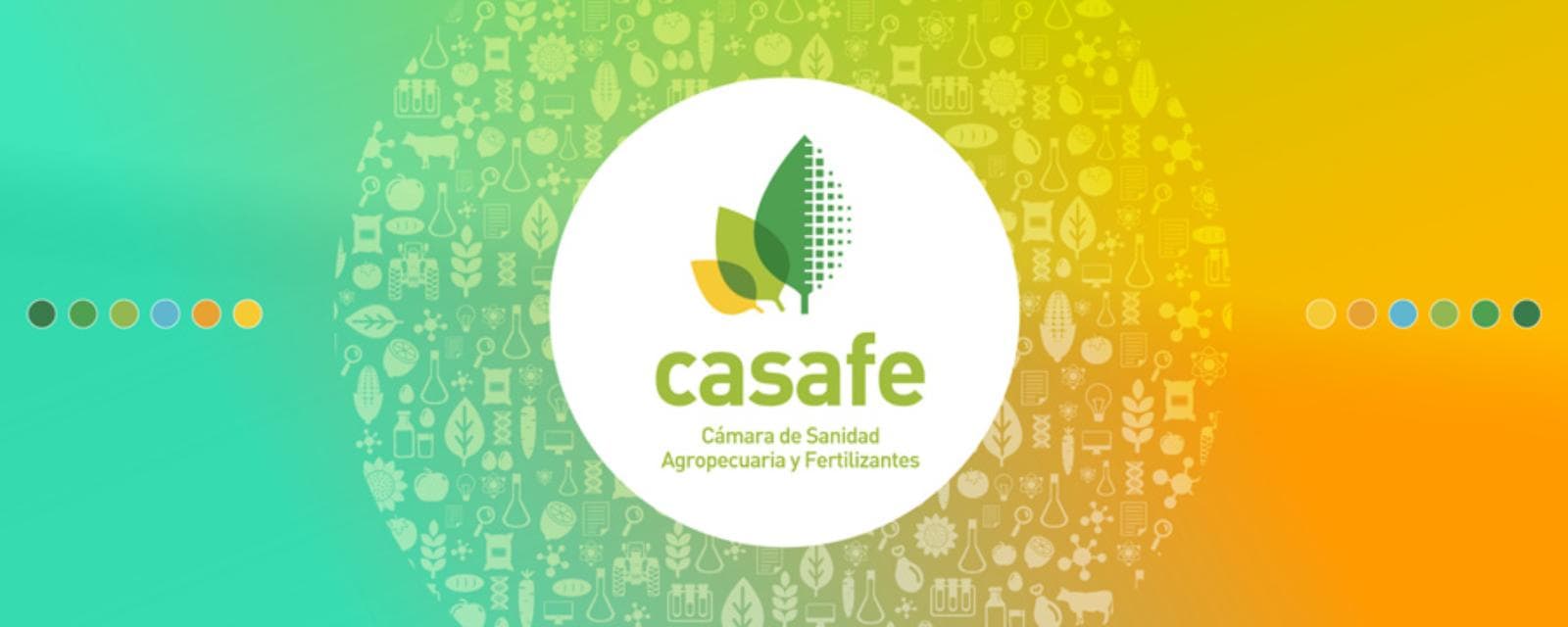 Casafe renovó autoridades para 2026–2028 y ratificó su agenda estratégica sectorial