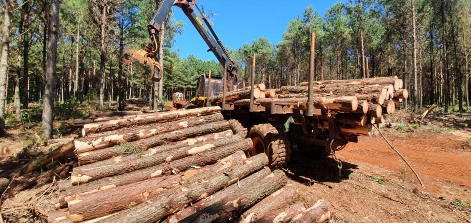 La industria maderera cerró 2025 con presión de costos y demanda en baja
