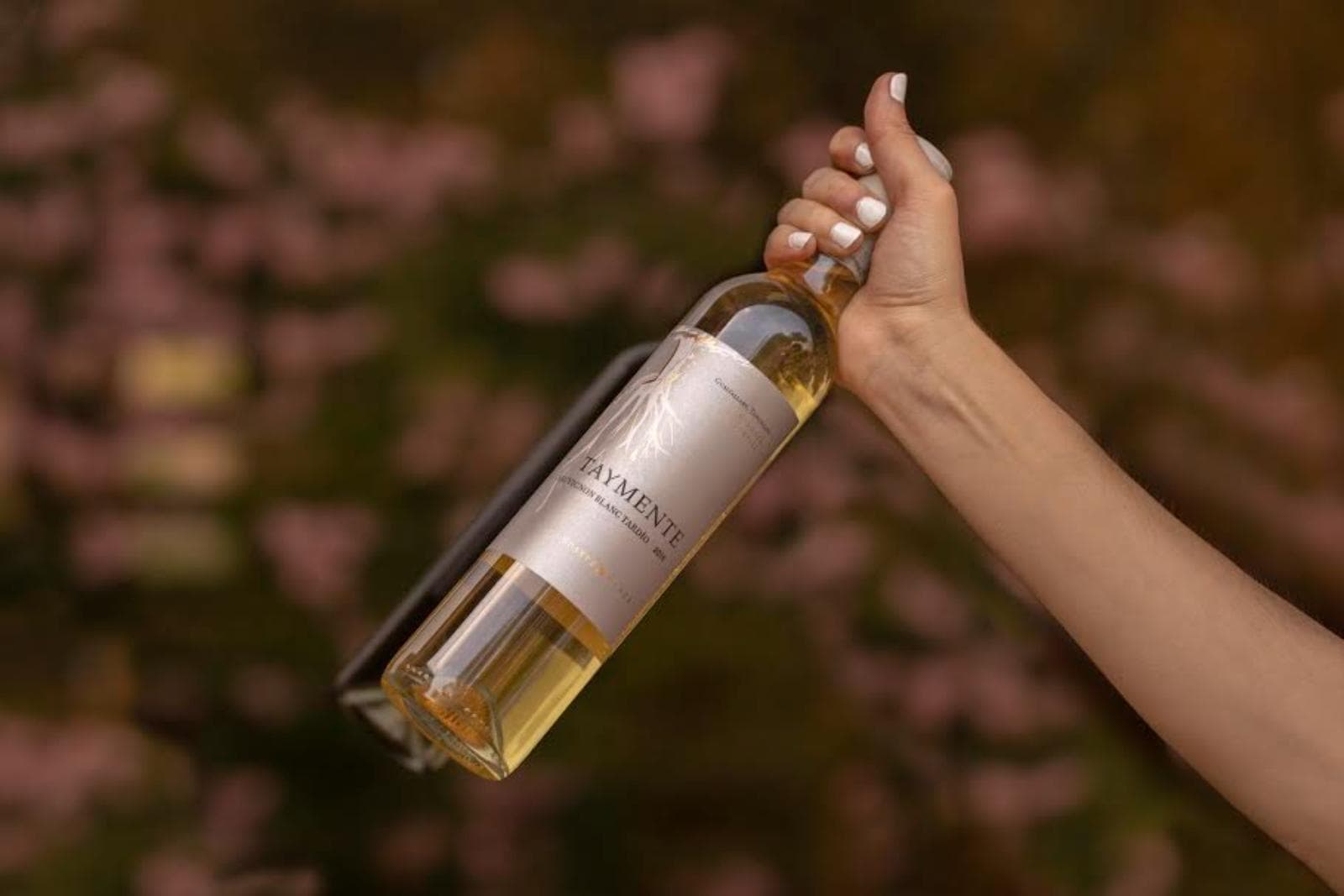 Taymente Dulce Natural, el Riesling mendocino elegido “Sweet Wine of the Year”